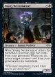 Young Necromancer [Modern Horizons 2] Supply