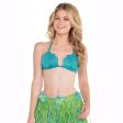 BRA SHELL SMALL MEDIUM Sale